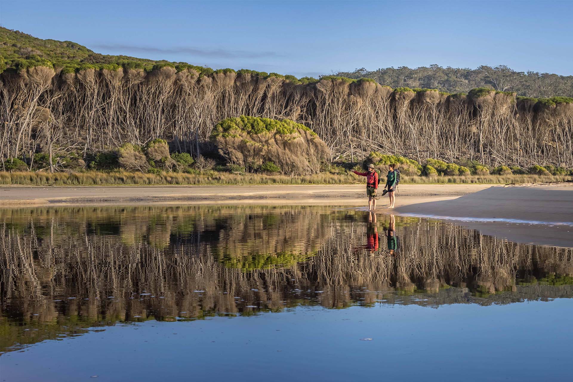 Wharf to Wharf Walk, South Coast, NSW, Sapphire Coast, Bournda National Park, Guided Walk, Walking Tour, Tathra, Merimbula