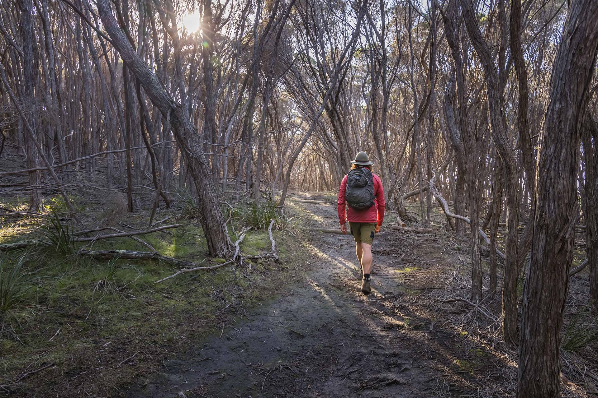 Wharf to Wharf Walk, South Coast, NSW, Sapphire Coast, Bournda National Park, Guided Walk, Walking Tour, Tathra, Merimbula