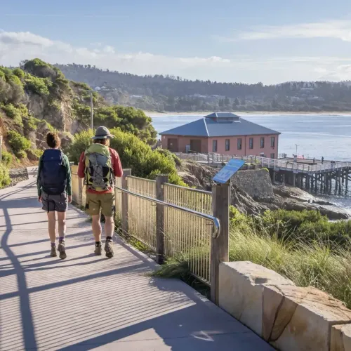 Guided Walking Tours | Sapphire Coast Guiding Co