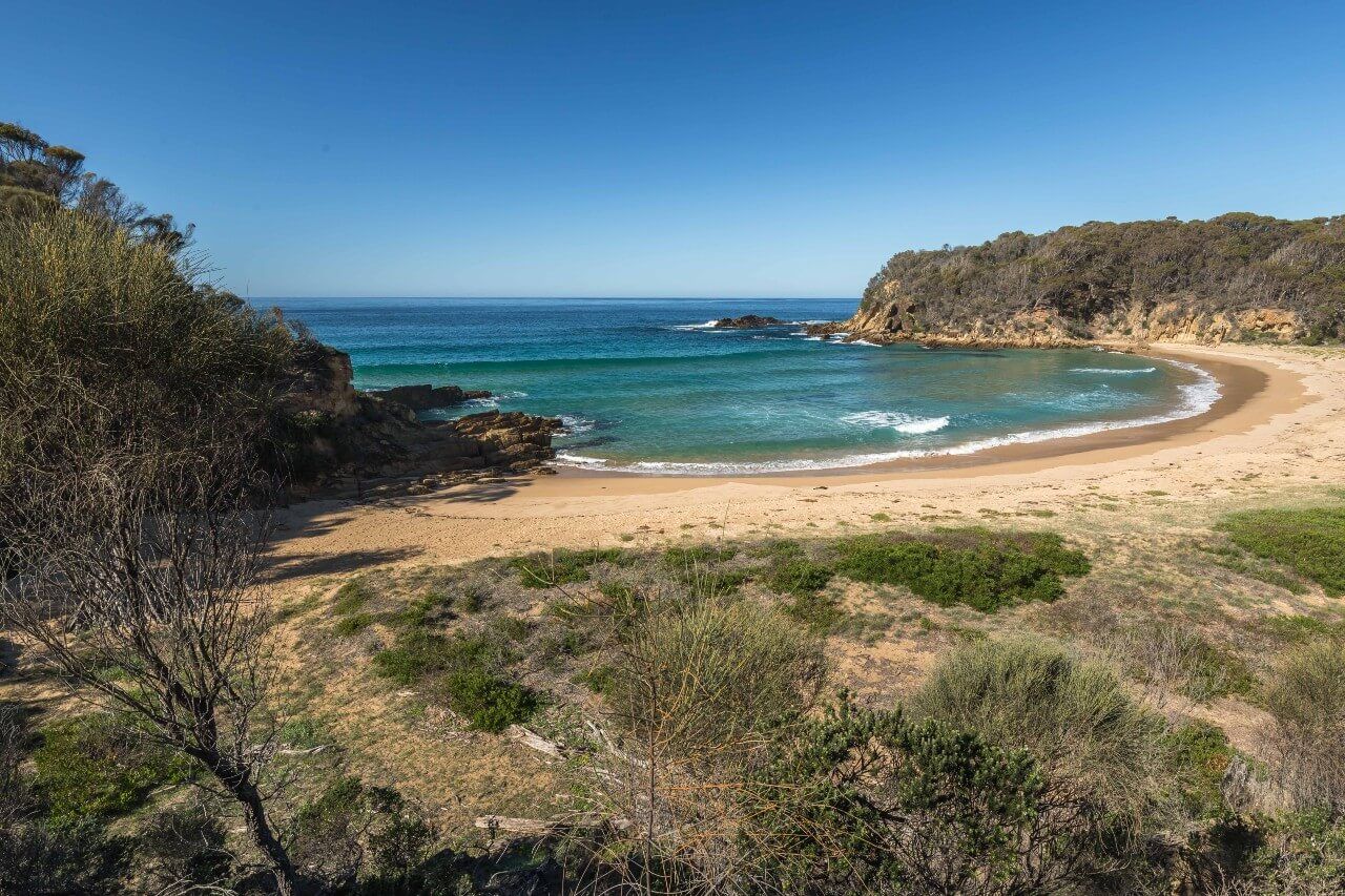 Sapphire Coast Kayak Tours | Sapphire Coast Guiding Co