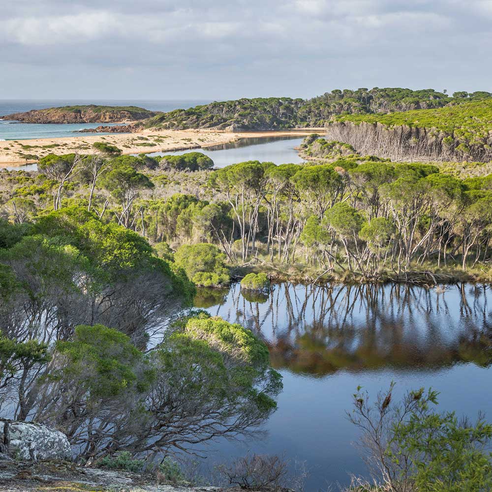 Bournda National Park, Sapphire Coast Guiding Co