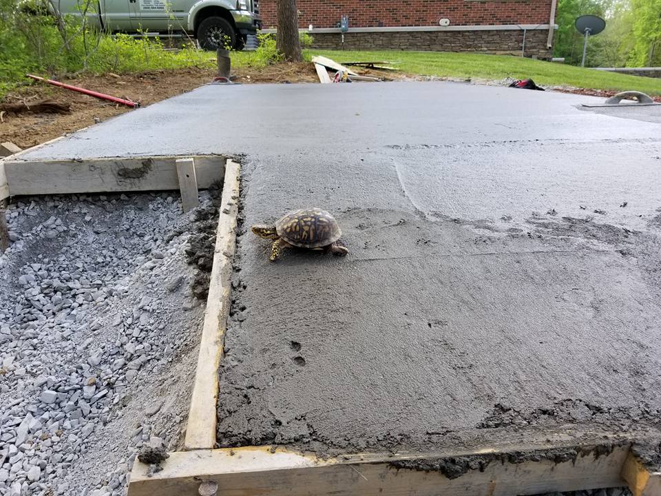 Flooring — Newly Build Flooring with Turtle in Louisville, KY