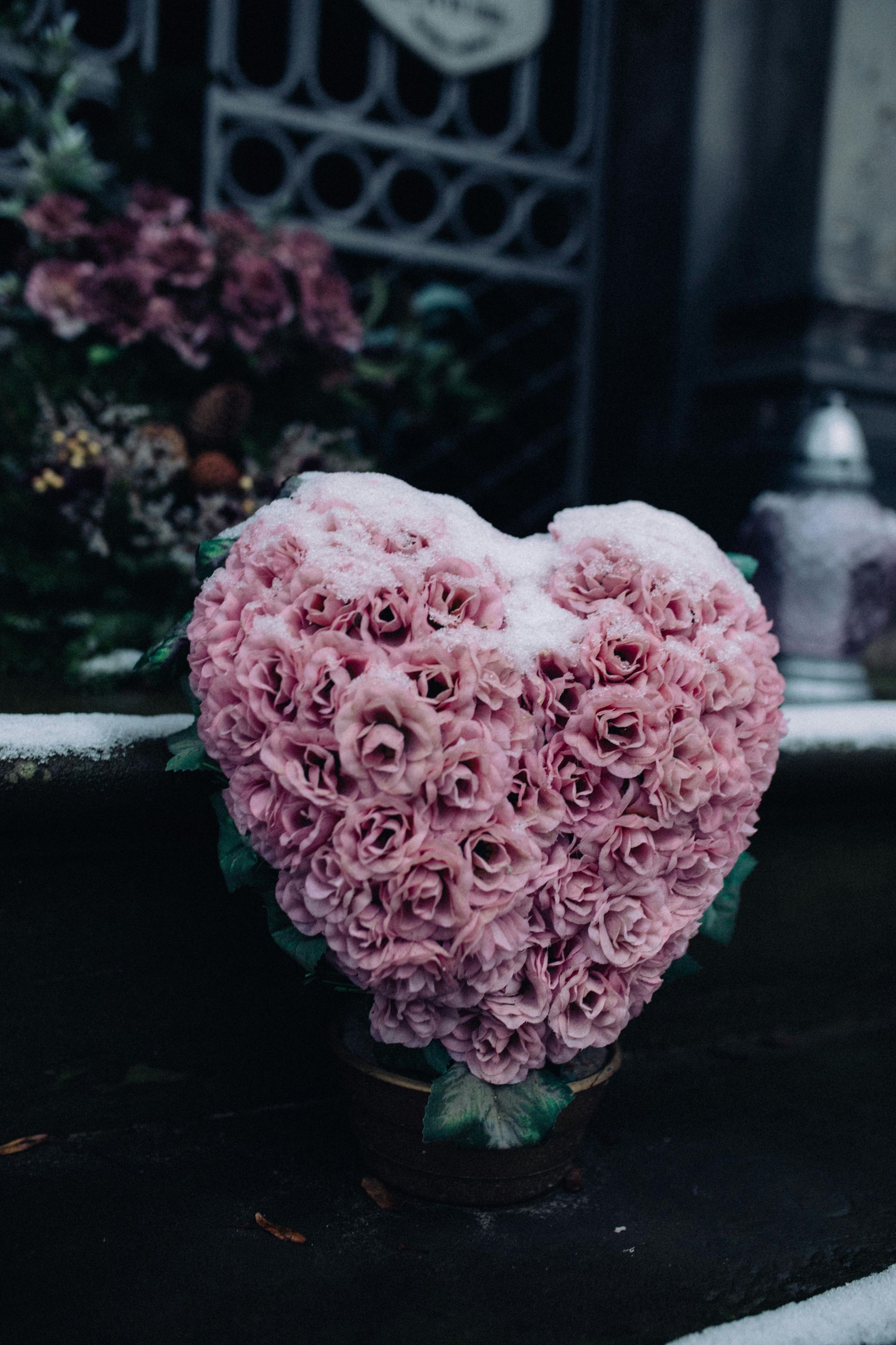 Heart-shaped arrangement of pink flowers covered in snow, placed on a grave in a cemetery.