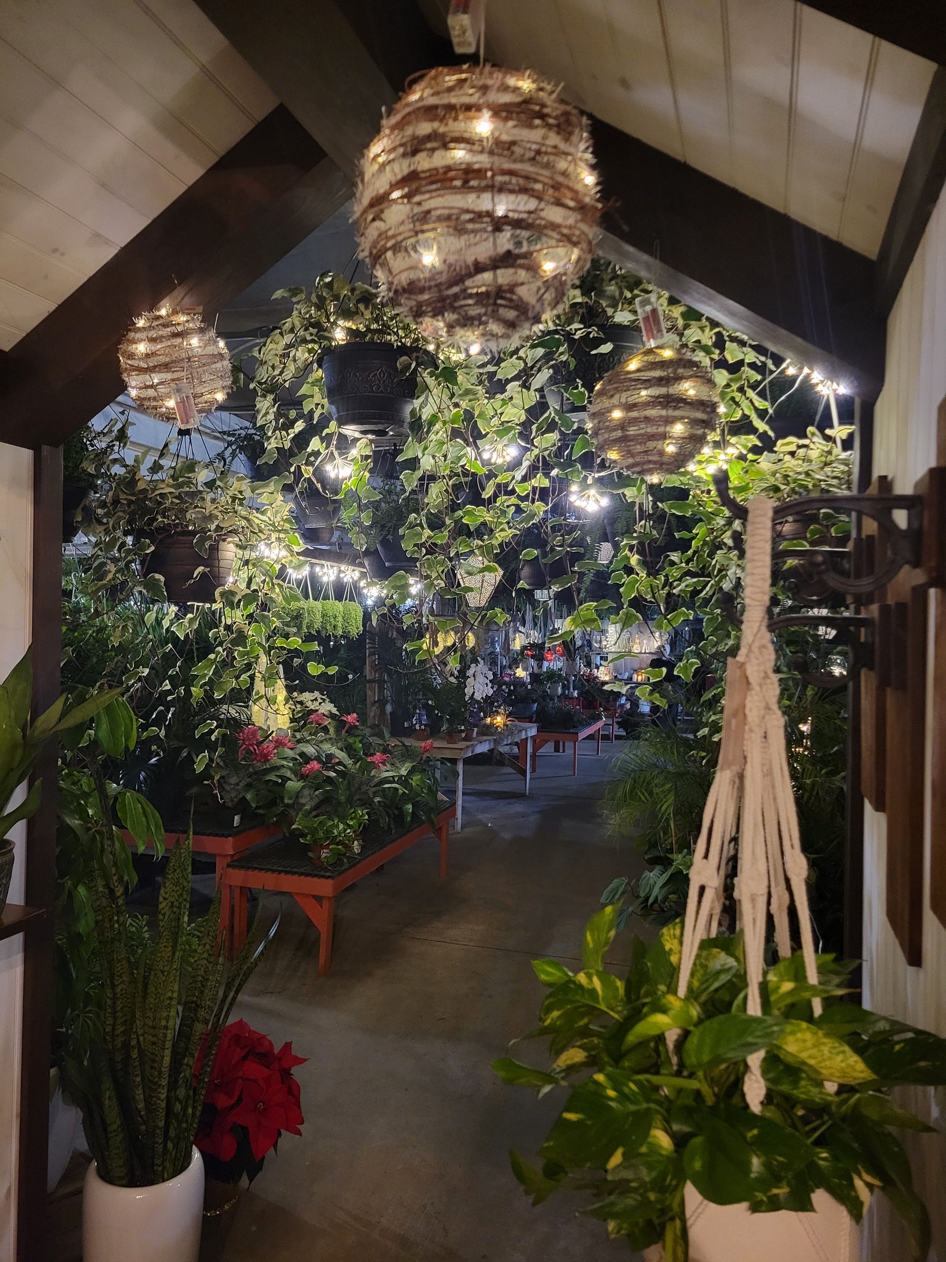 Different Flowers — Ronks, PA — Sunny Spot Nursery