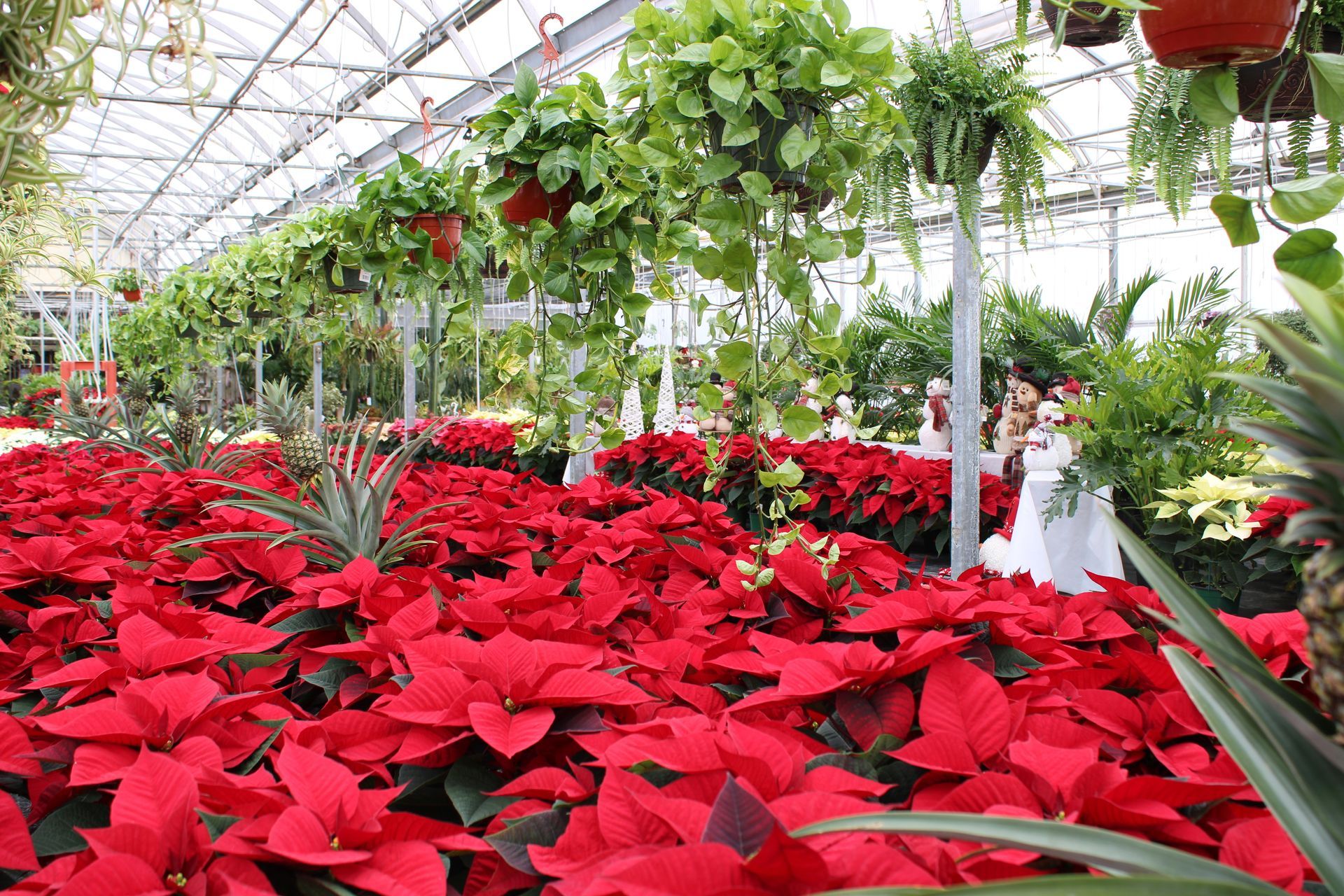 Pots in Store — Ronks, PA — Sunny Spot Nursery