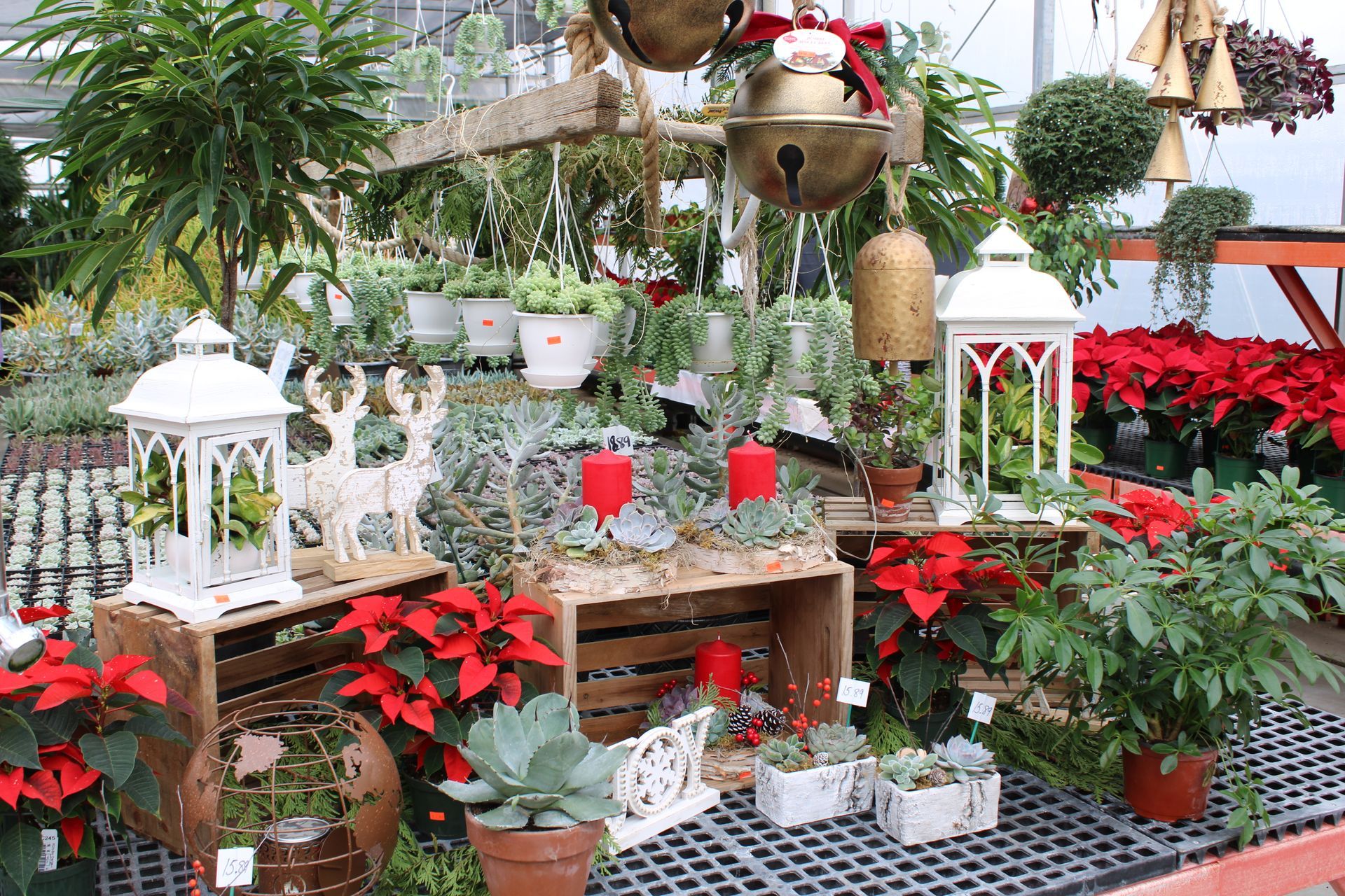 Different Flowers — Ronks, PA — Sunny Spot Nursery