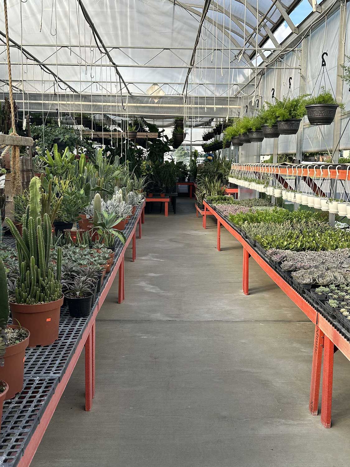Potted Plants on Table — Ronks, PA — Sunny Spot Nursery