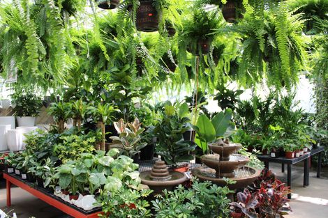 Plant Nursery  Lancaster, PA  Sunny Spot Nursery