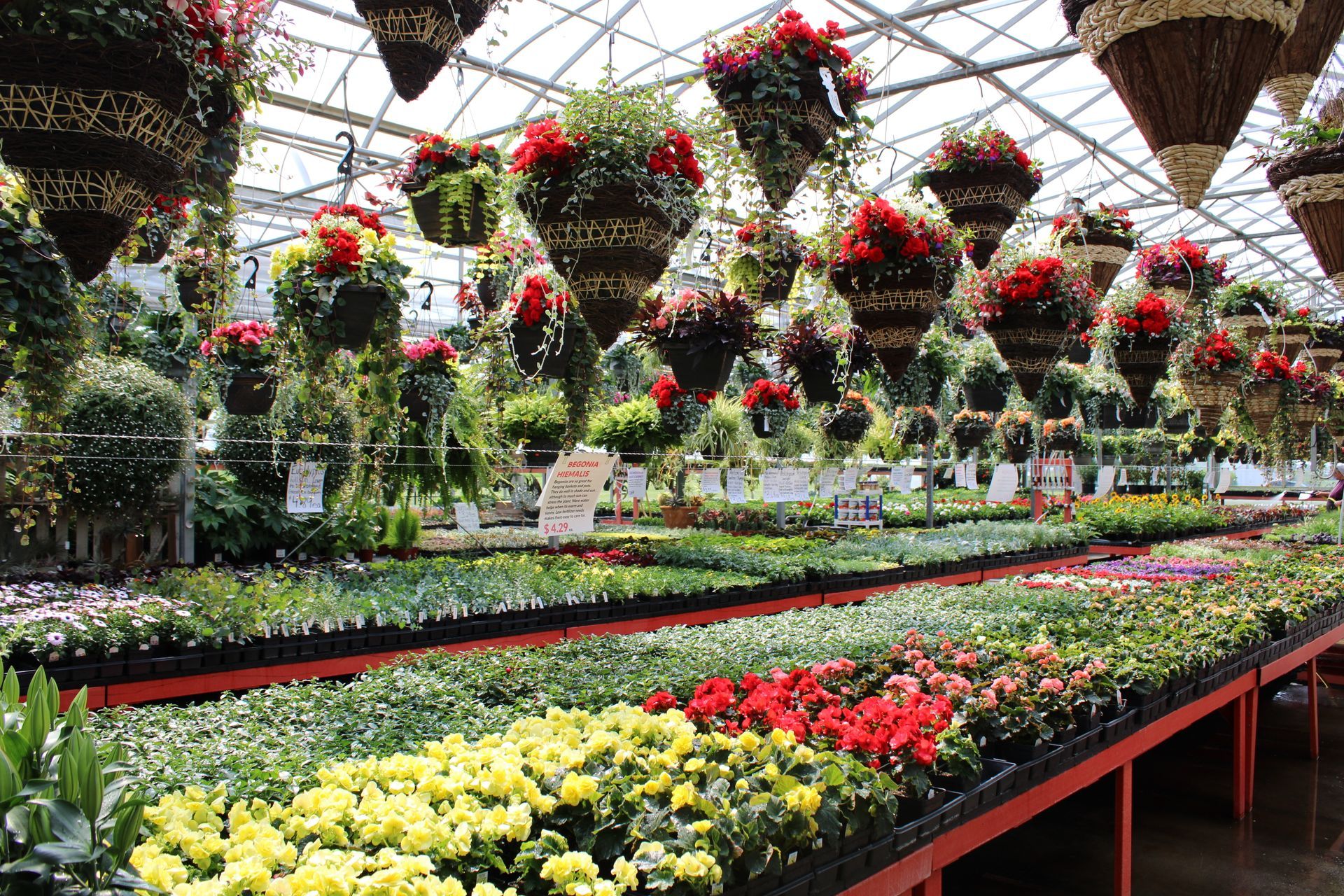 Mother's Day Flowers in a greenhouse