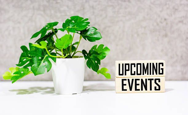 Pots and Planters — Ronks, PA — Sunny Spot Nursery