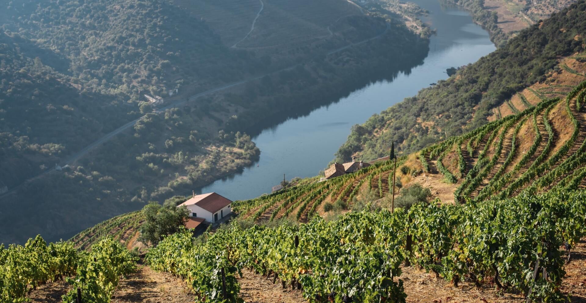 A house sits on a hill overlooking a river