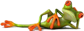 Two frogs are laying on their backs on a white background.