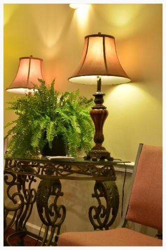 Two lamps with brown shades on a decorative table with a fern, set against a cream-colored wall.
