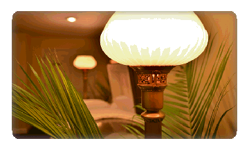 Two lamps with lit shades, one in front, green leaves. Warm, indoor setting.