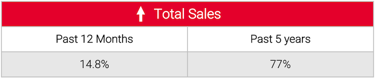 A table showing total sales past 12 months and past 6 years