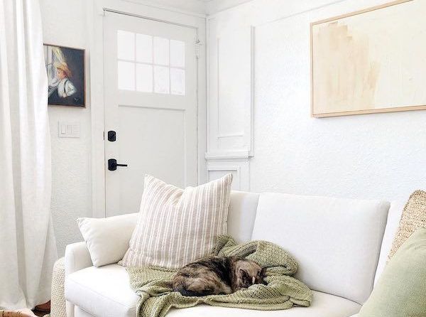 A dog is sleeping on a white couch in a living room.