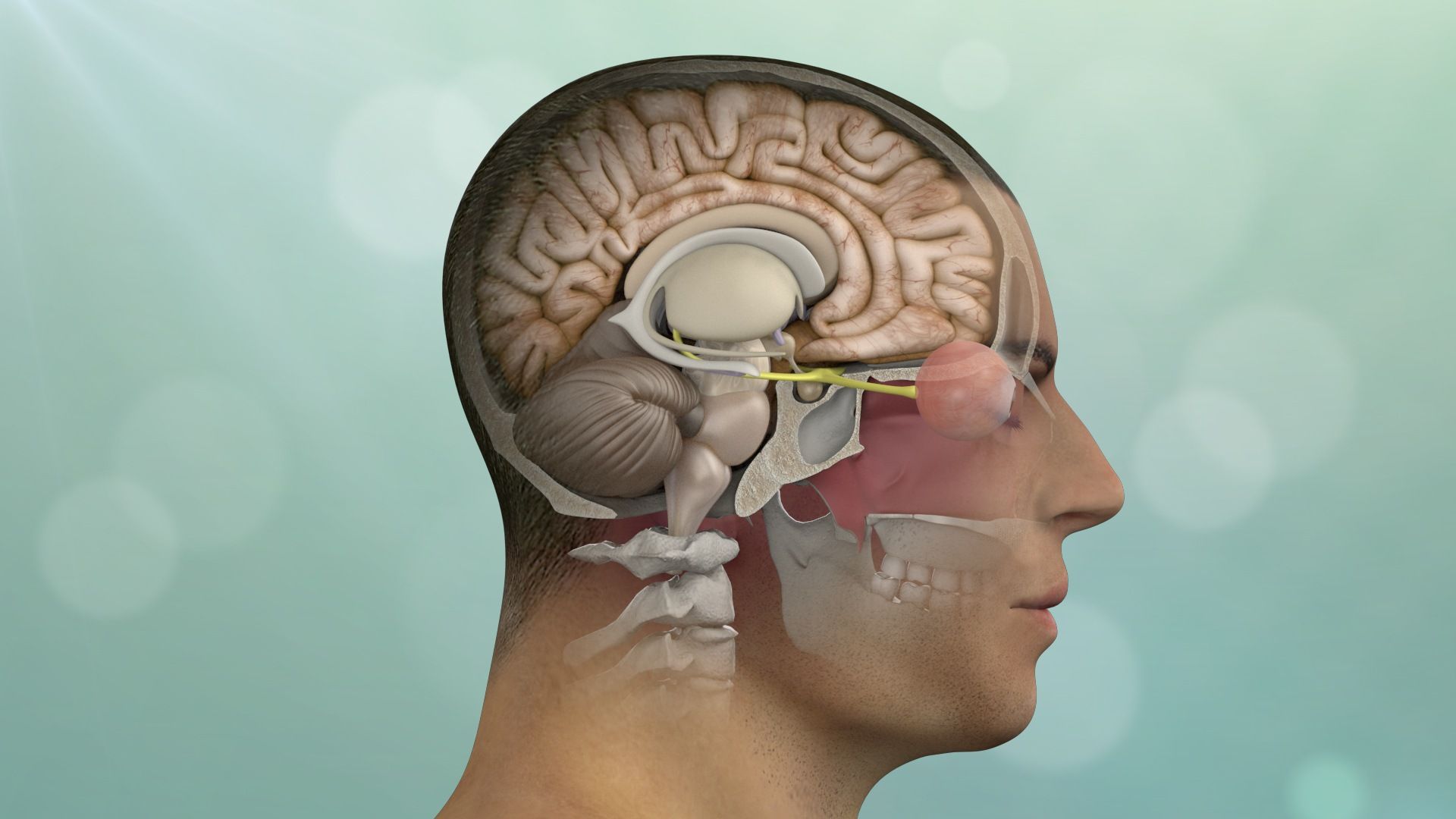 7 Advanced Treatment Options for Brain and Skull Base Tumors: From Surgery to Radiation