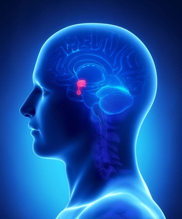 Pituitary tumors, though often noncancerous, can greatly impact a person’s health due to the importa