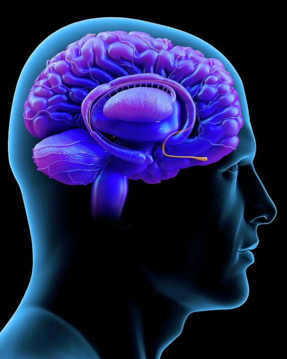 Olfactory Neuroblastoma