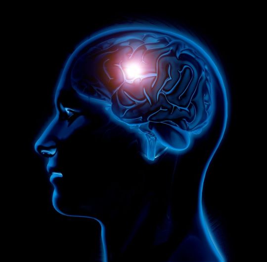 cranial nerve