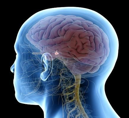 Rathke’s Cleft Cyst