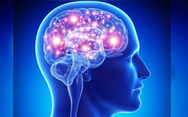 Brain & Skull Base Tumors