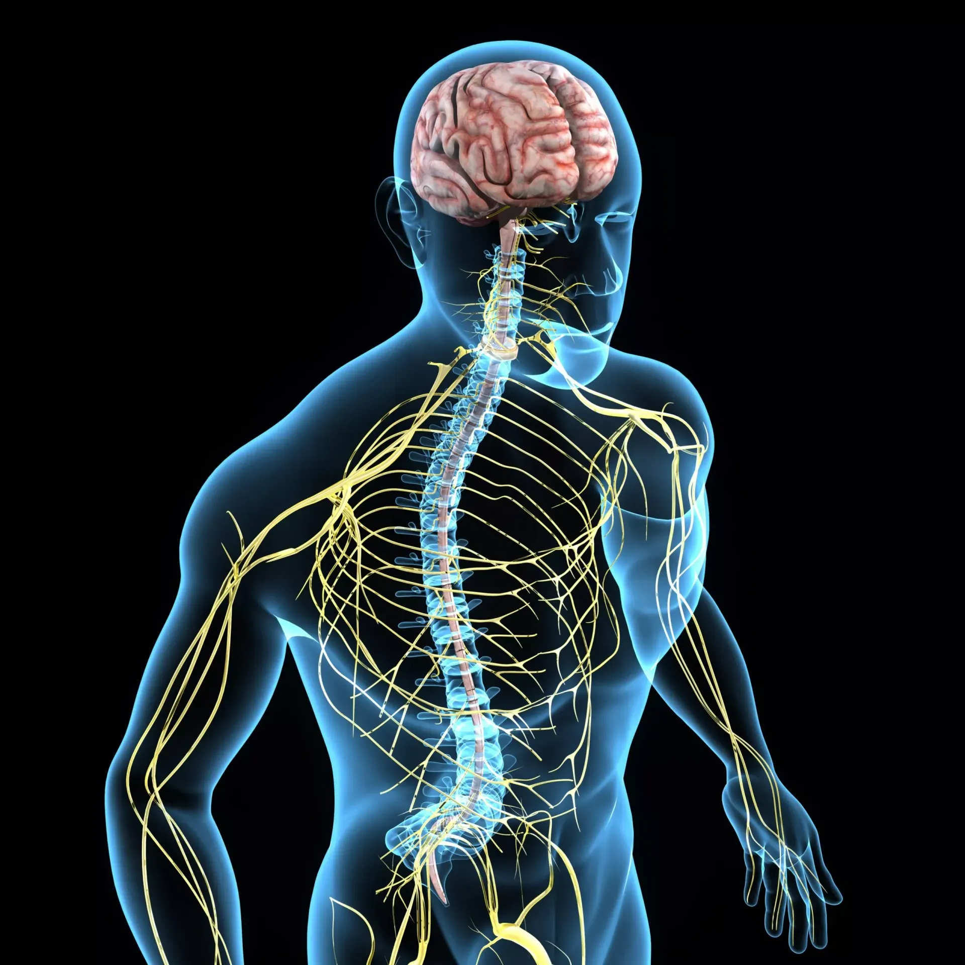 Advances in Spinal Cord Tumor Research and Treatment