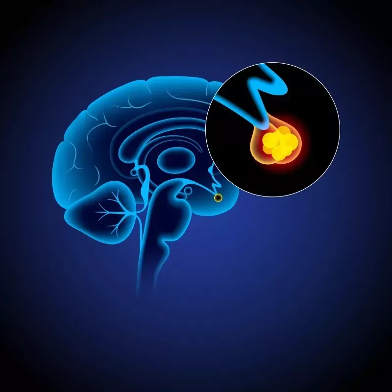 10 Common Symptoms of Pituitary Tumors You Should Not Ignore