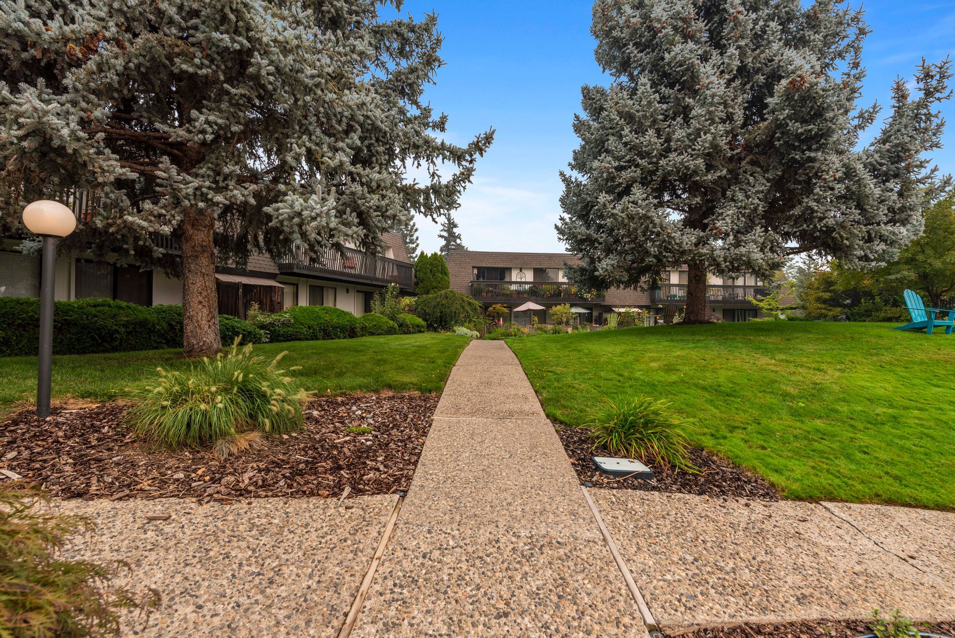 A concrete walkway leading to a grassy area with trees and a building in the background.