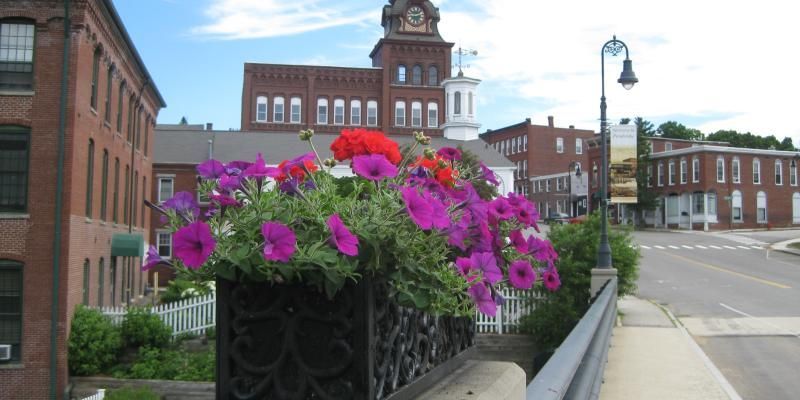 Brick buildings with flowers in foreground and a street on a sunny day.