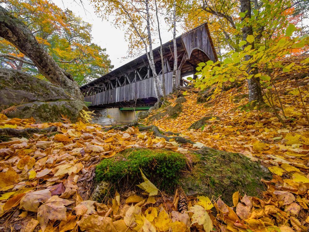 Covered wooden bridge in autumn, surrounded by golden leaves and trees.