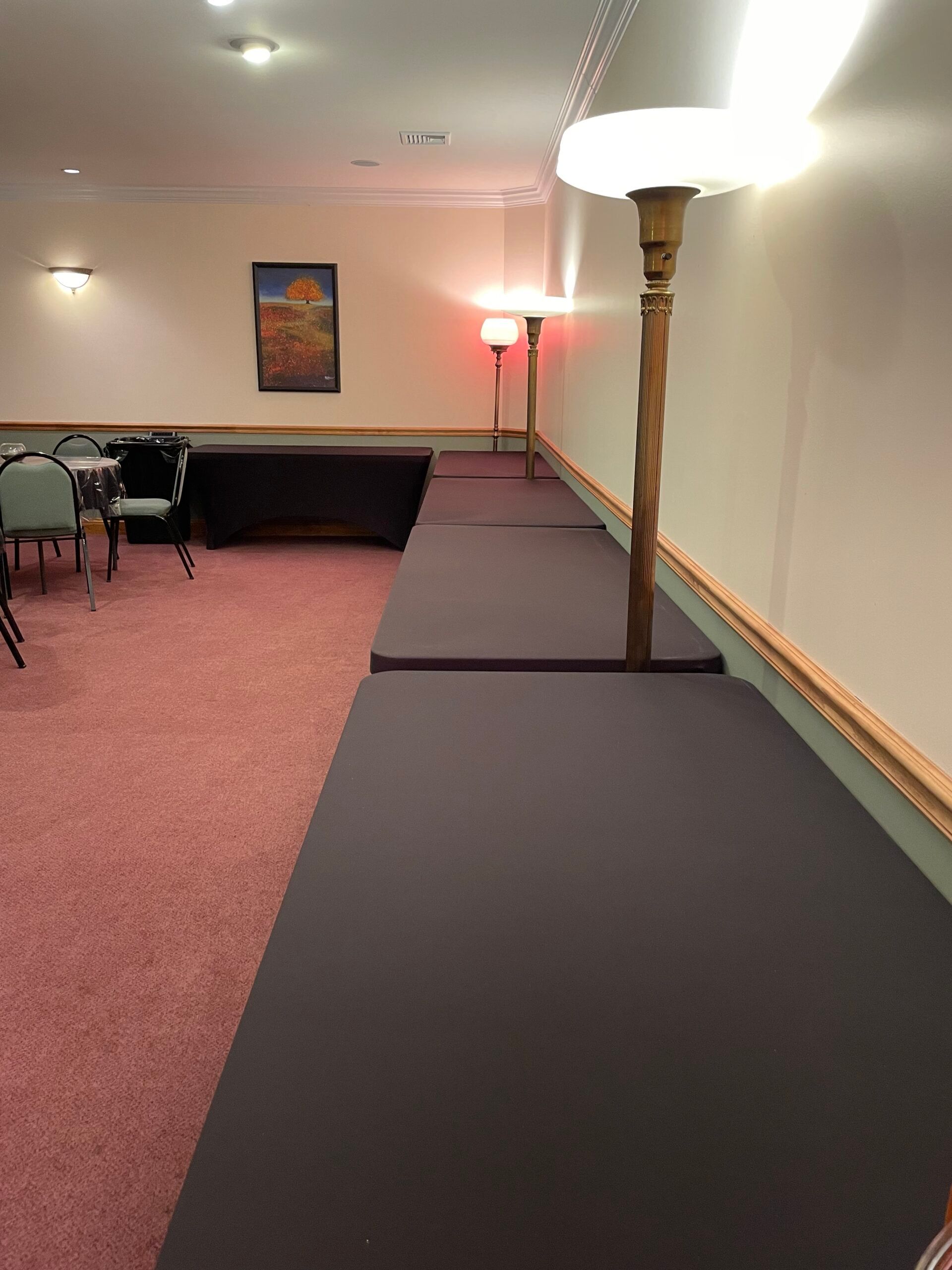 A room with long dark platforms, lamps, pink carpet, and a painting.