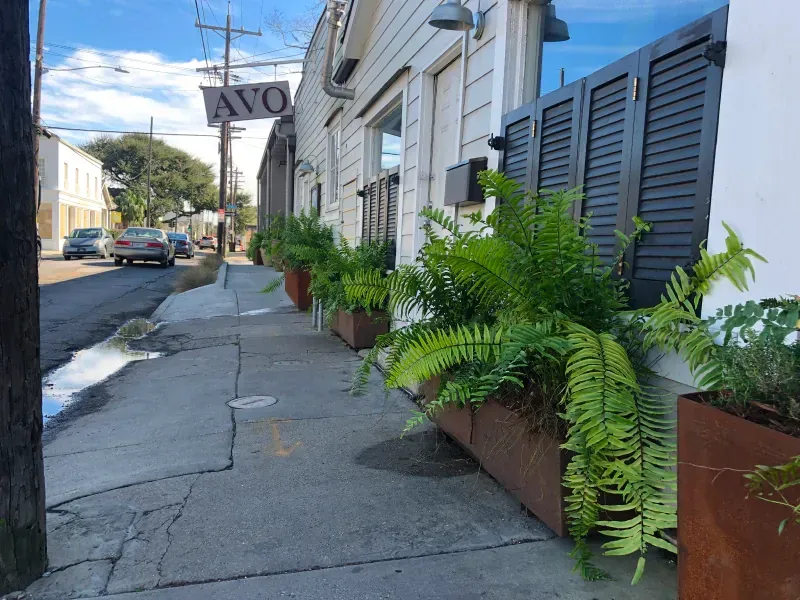 A building with a sign that says ayo on it