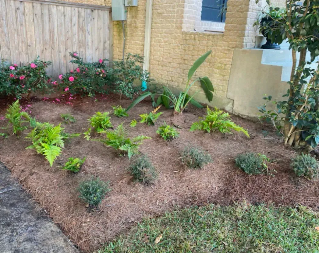 A garden with lots of plants and flowers in front of a house.