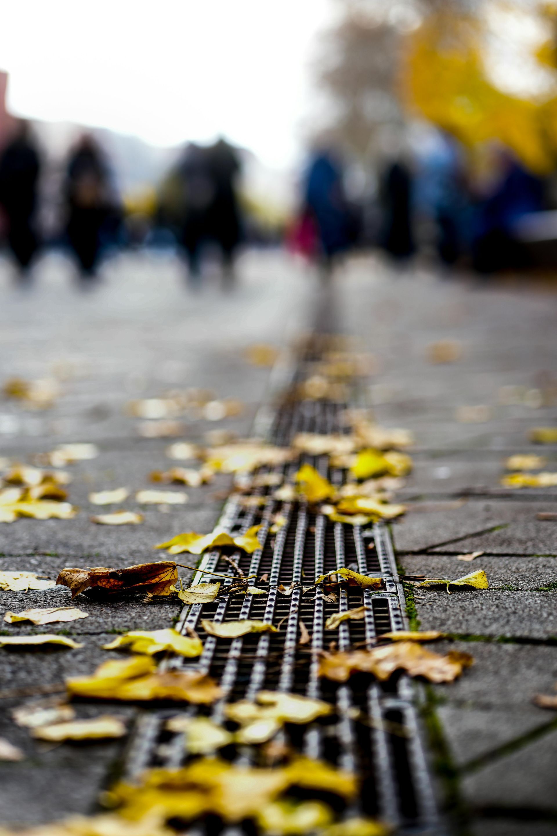 A drain with leaves on it and people walking in the background