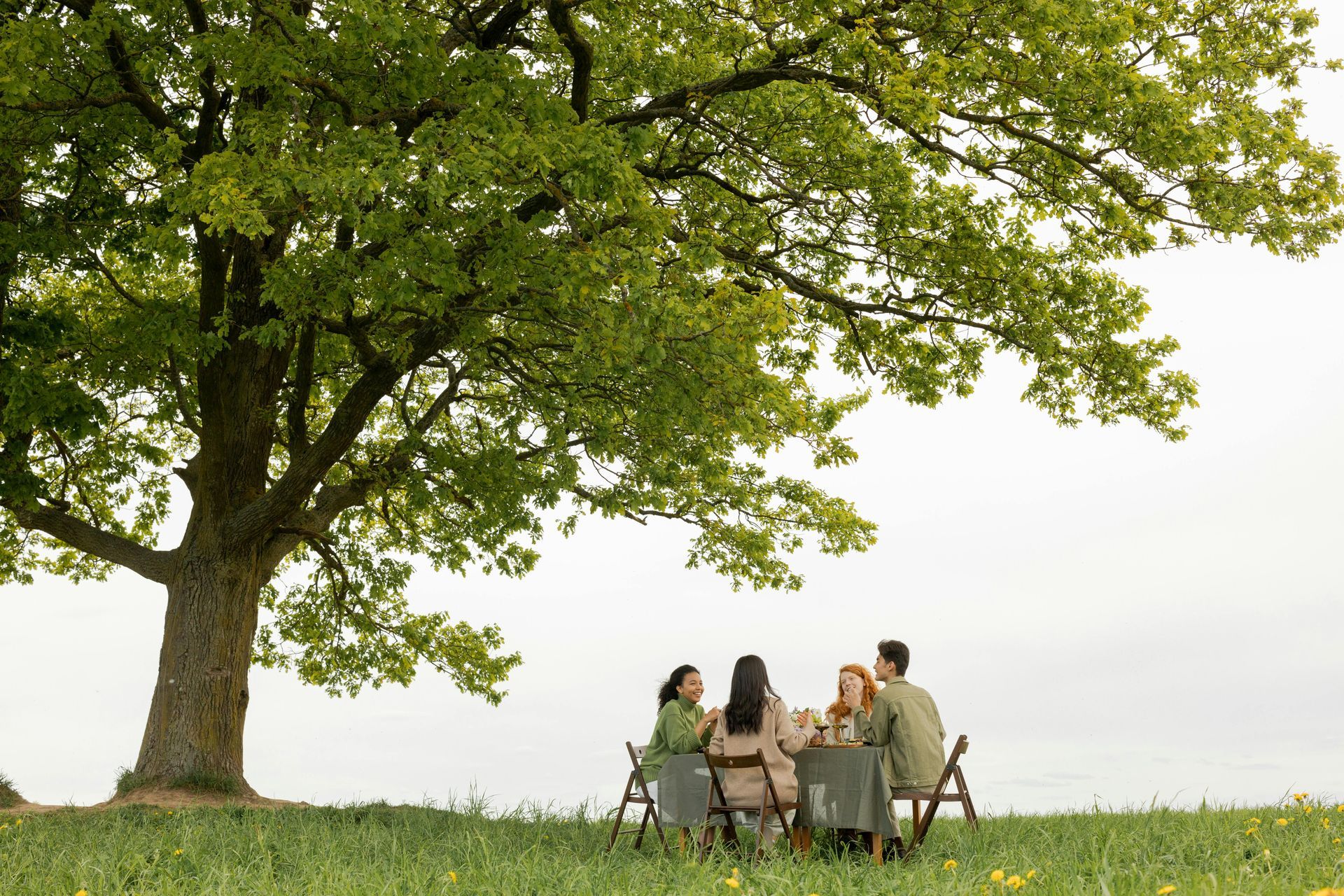 A group of people are sitting at a table under a tree