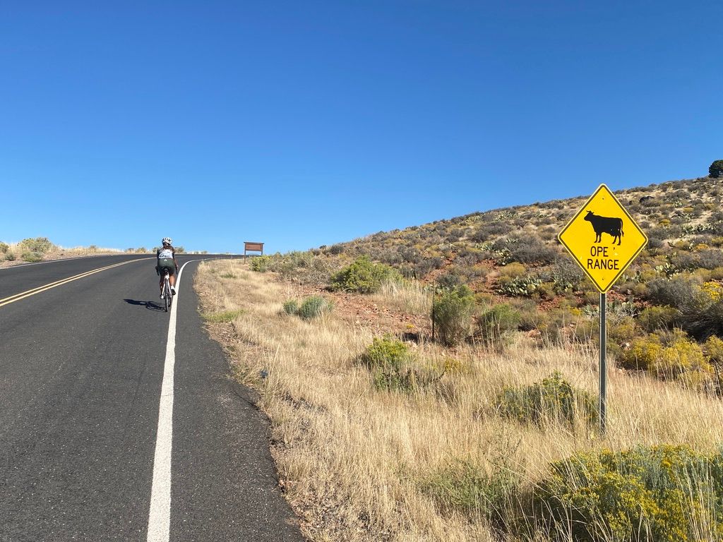 Bicycle Crashes with Open Range Cattle