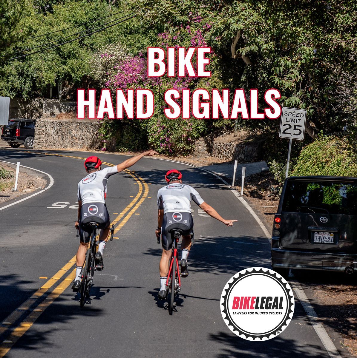 bike-hand-signals