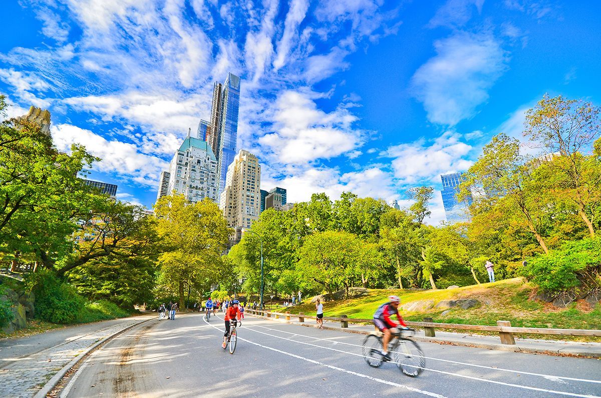 Cyclists riding bikes in Central Park, NYC
