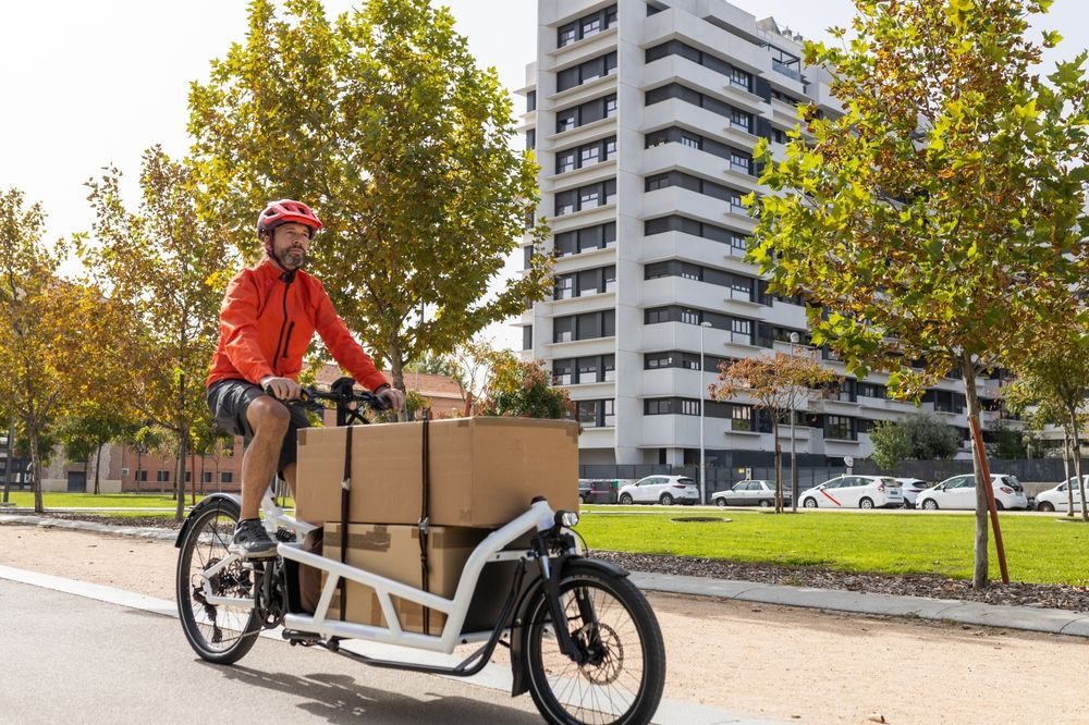 E-bike cargo