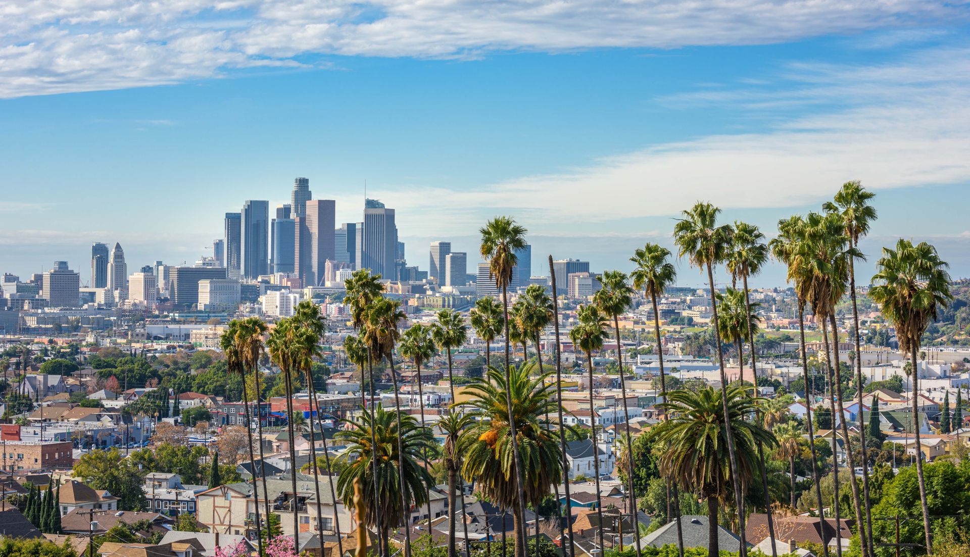 Los Angeles City skyline daytime with palm trees