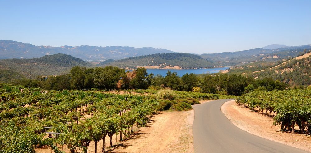 Napa Valley Vineyards road with lake in background