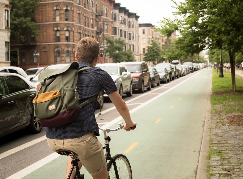 Back view of modern hipster man riding bike on bike lane, photographed in Brooklyn NY in July 2017