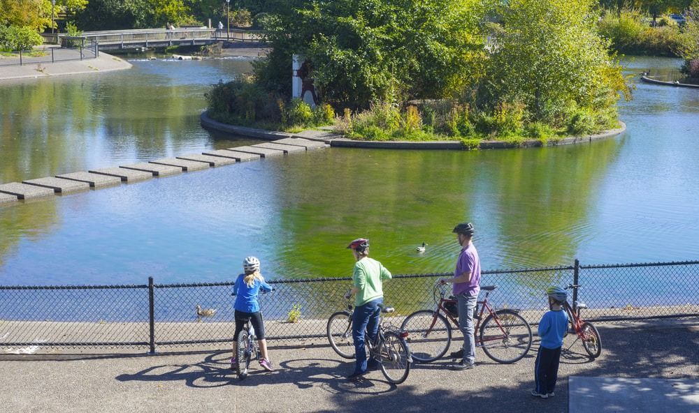 Best Family-Friendly Bike Trails in Oregon