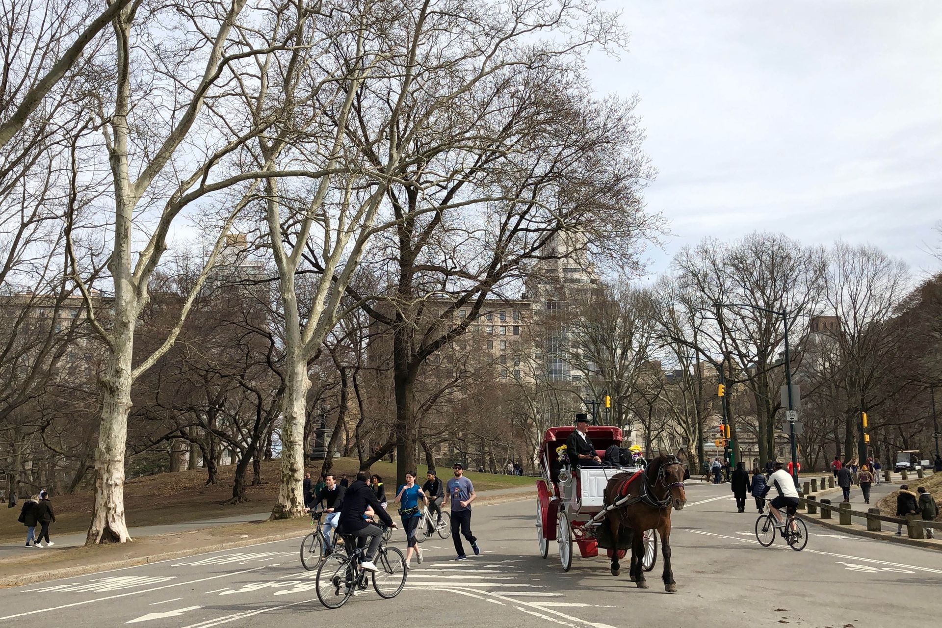 Central Park, New York carriage horse and bicycle riders