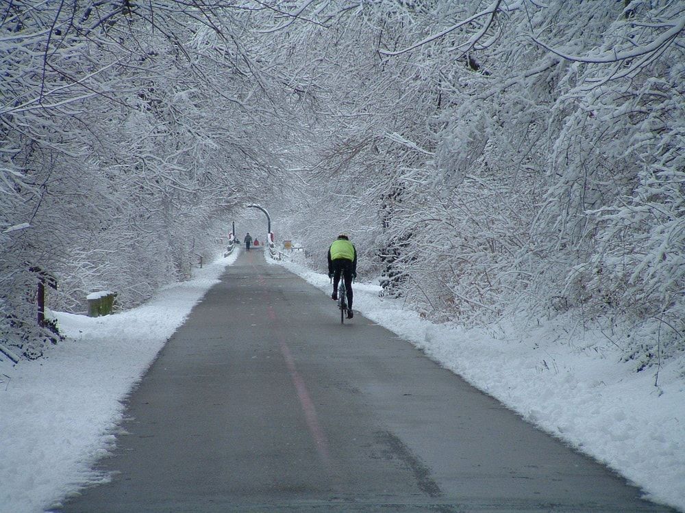 solo cyclist riding down a path surrounded by snow covered trees