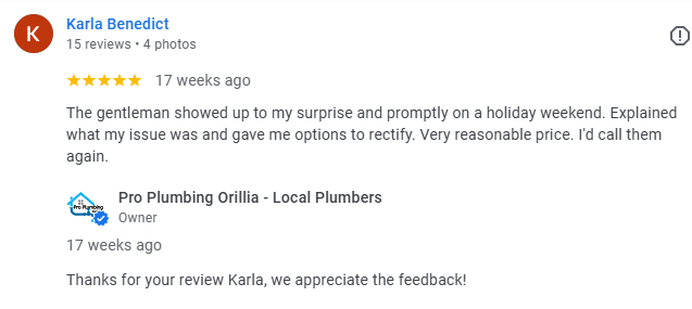 5 star review plumbers orillia