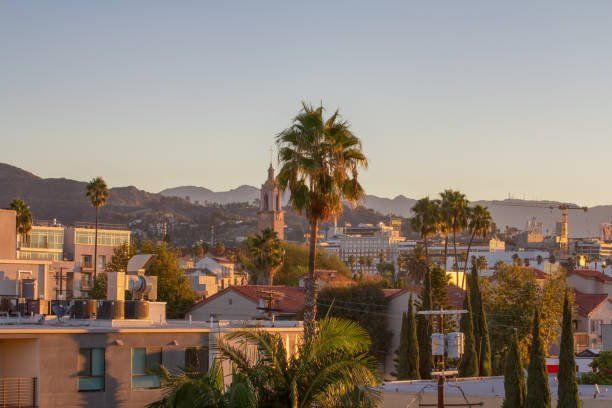 A cityscape with palm trees and mountains in the background at sunset.