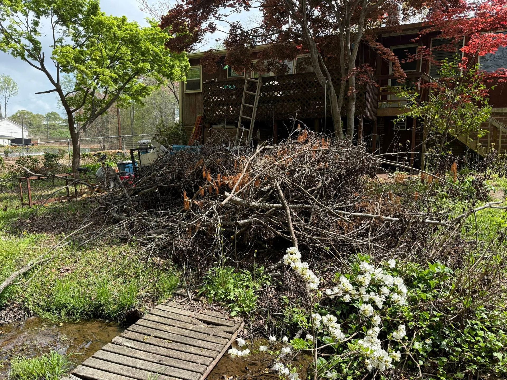 A large pile of brush and branches in a yard, near a wooden walkway and house.