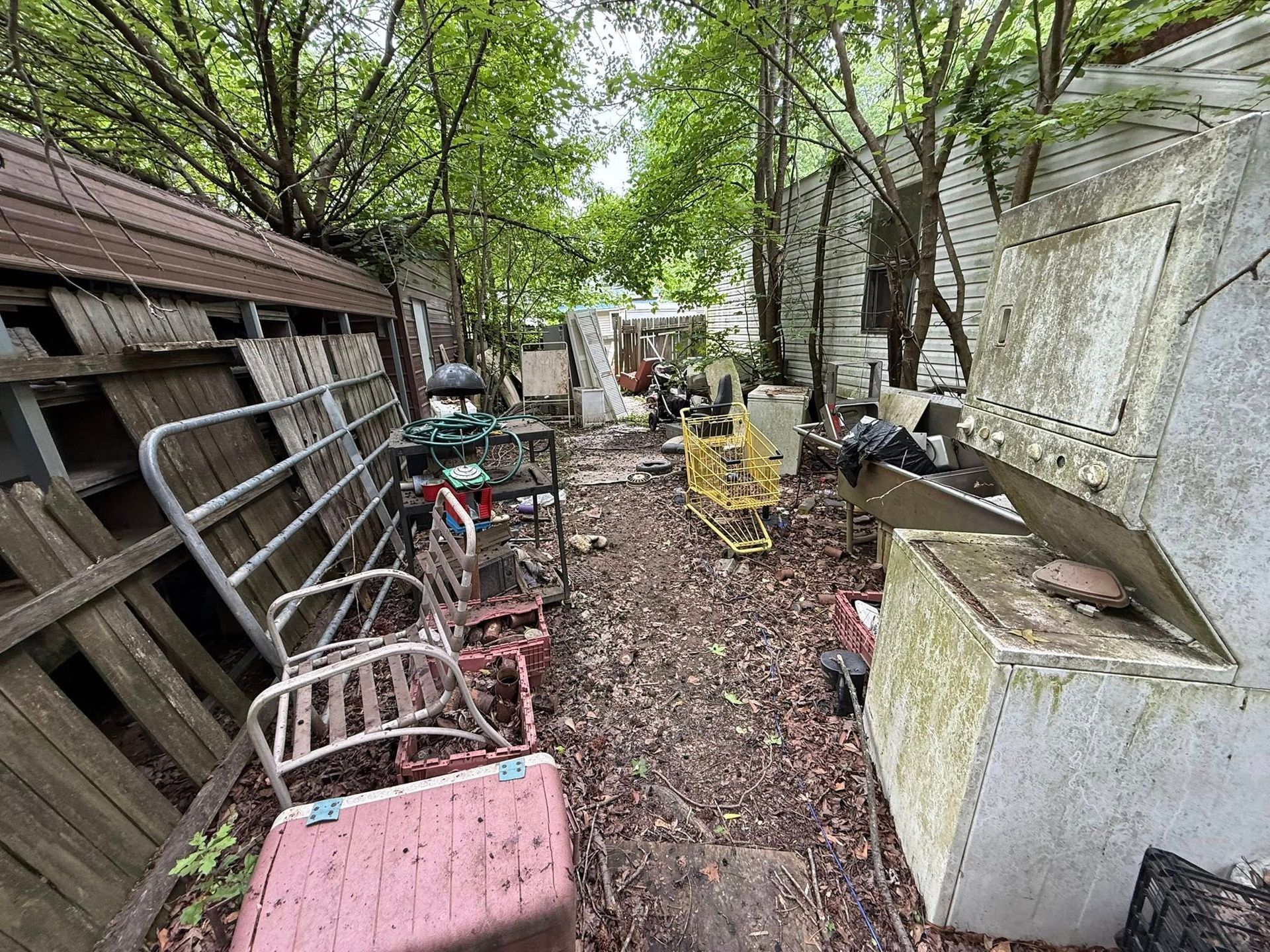 Backyard cluttered with rusted metal objects, old sheds, and overgrown trees.